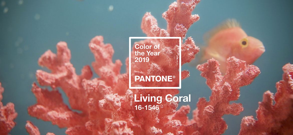 PH.PANTONE_16-1546_LIVING_CORAL_2 copia