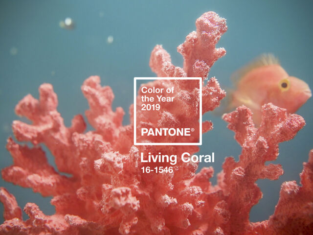 PH.PANTONE_16-1546_LIVING_CORAL_2 copia