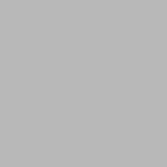 Cool gray 427.02