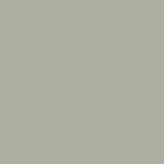 AC077 - ARMY LIGHT
