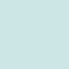 Pale turquoise 433.01