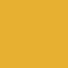 AC080 - ORO