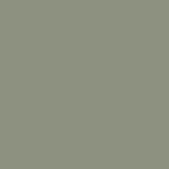 Fern 437.04